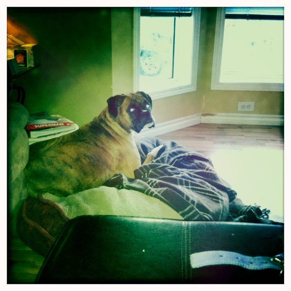 Hip 341107782.746776