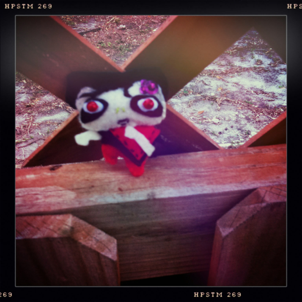 Hip 321574866.429038