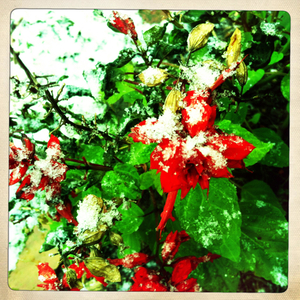 Hip 341600707.271674