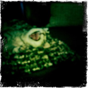 Hip 341523393.767977