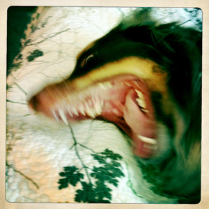 Hip 341600456.400563