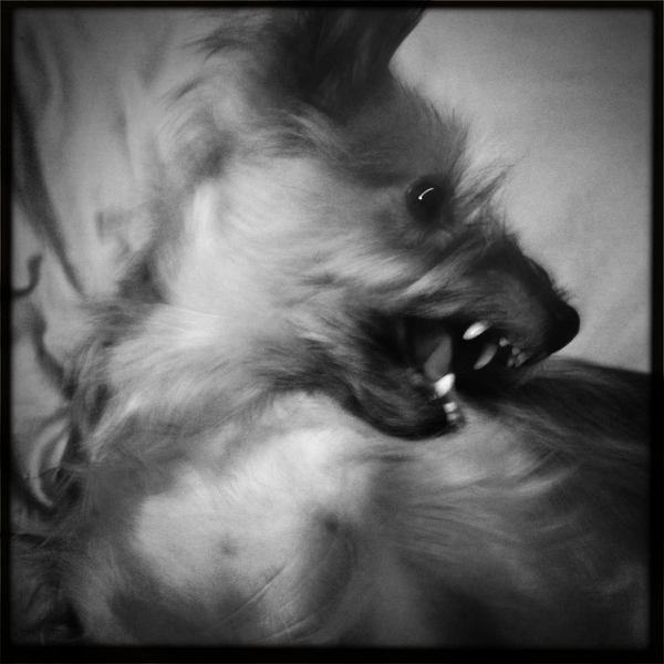 Hip 341603671.868580