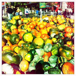 Hip 341077732.919825