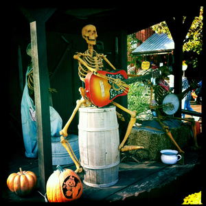 Hip 341090427.004951