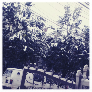 Hip 341604818.396362