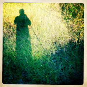 Hip 341189693.714068