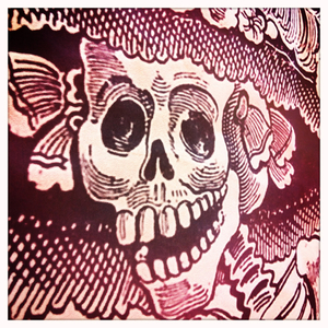 Hip 341606064.597354