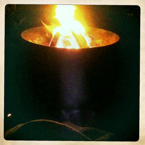 Hip 341607946.044314