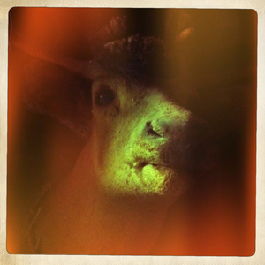 Hip 341550437.266386