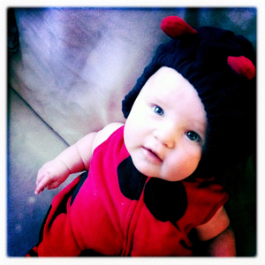 Hip 341441664.355243