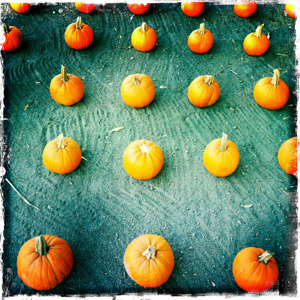 Hip 341451713.671041