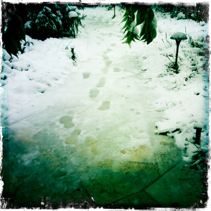 Hip 341611199.230404