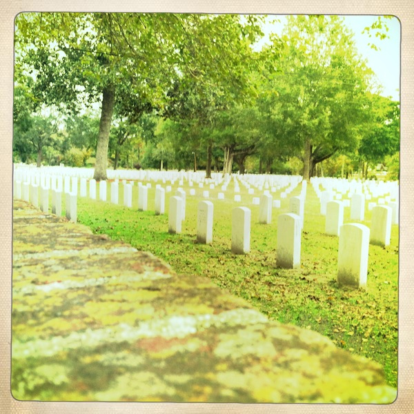 Hip 341527332.274612