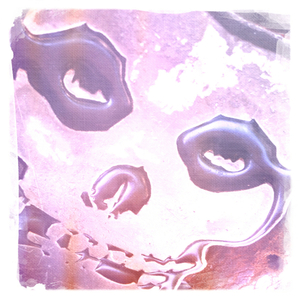 Hip 341608578.226029