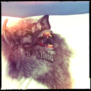 Hip 341611551.301982