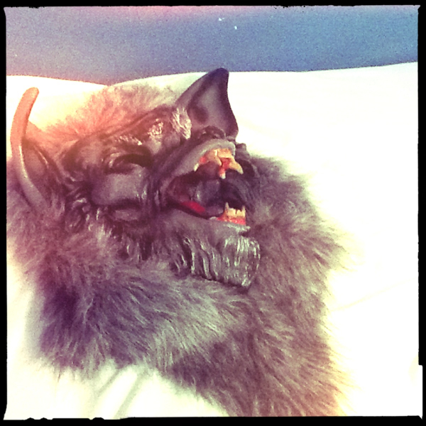 Hip 341611551.301982