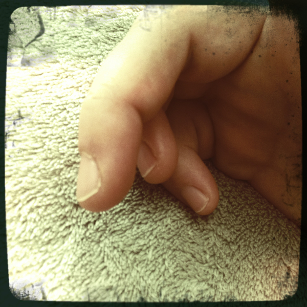 Hip 341612167.606104