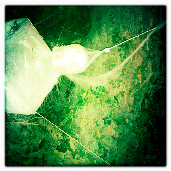 Hip 341552420.134397