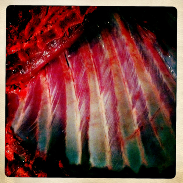 Hip 341607618.440524