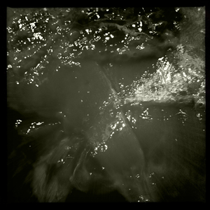 Hip 341607547.964567