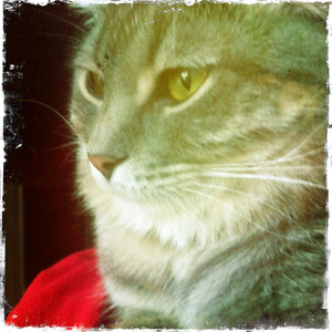 Hip 341613234.564218