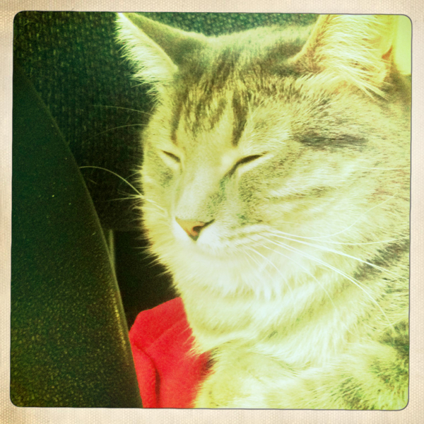 Hip 341613516.761685