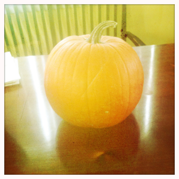 Hip 341613750.326242