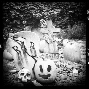 Hip 338686602.264925