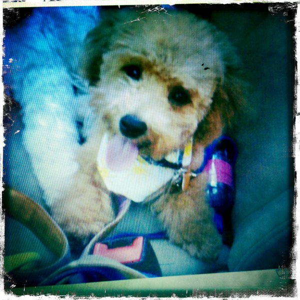 Hip 341614091.350636