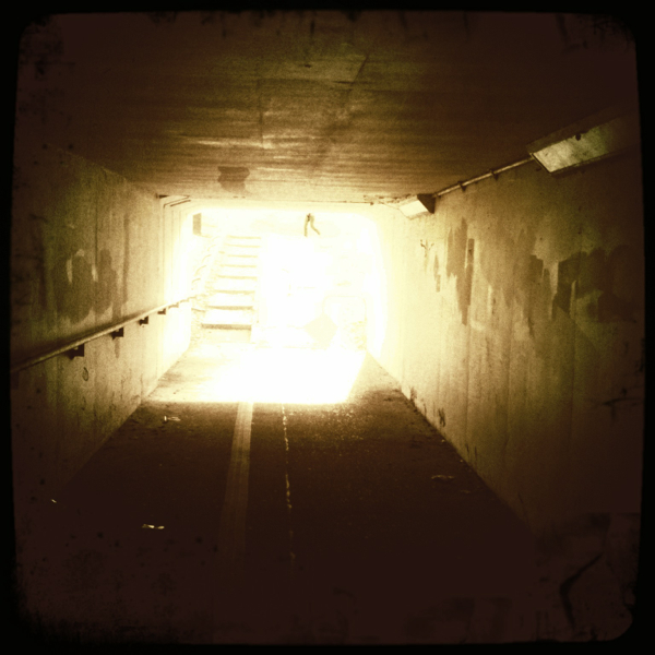 Hip 334258740.029119