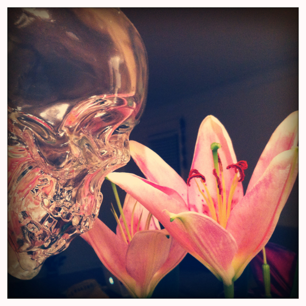 Hip 341386647.632894