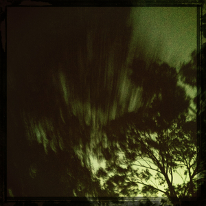 Hip 341541010.917063