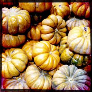 Hip 338439392.318896