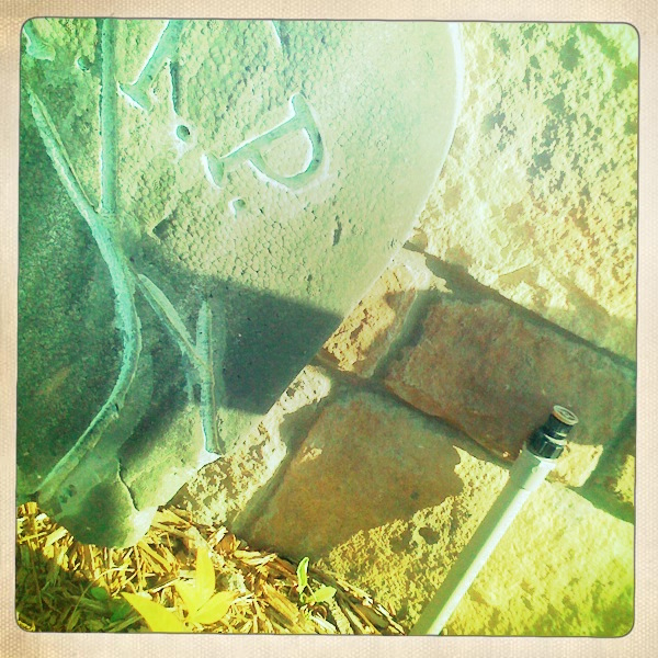 Hip 341614994.702964