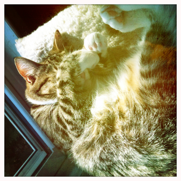 Hip 341615455.428607