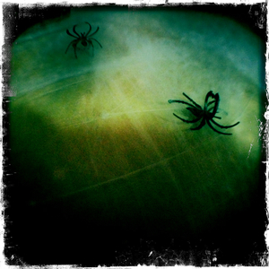 Hip 340775420.226064