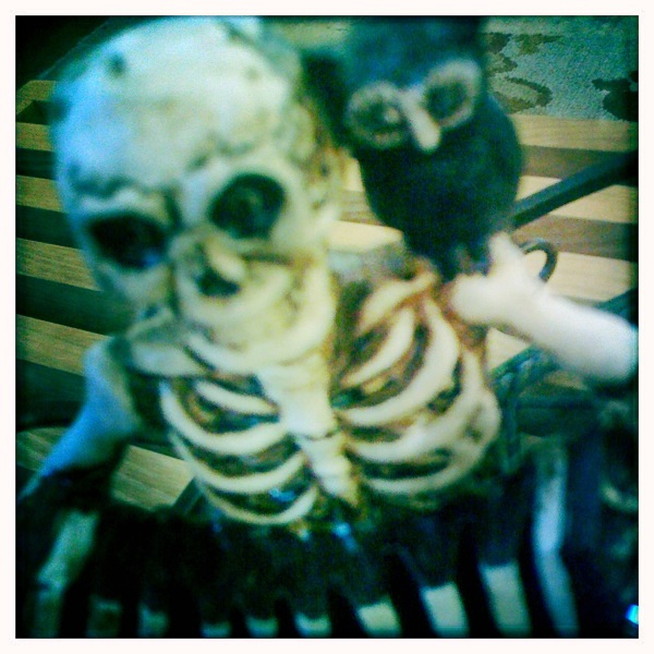 Hip 341615815.470210