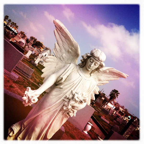 Hip 337894819.190425