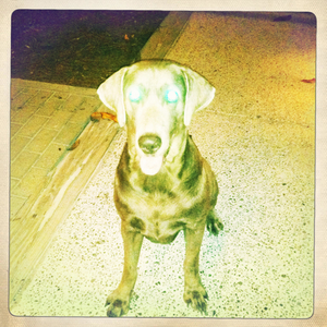 Hip 341289977.965653