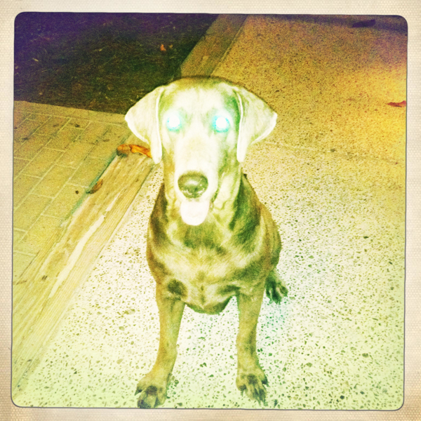 Hip 341289977.965653