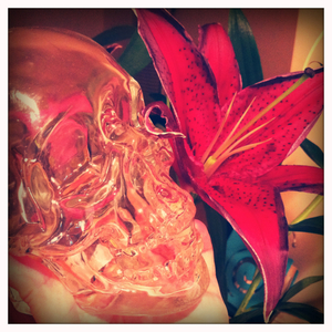 Hip 341386477.053568