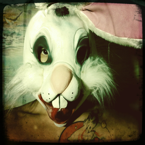 Hip 341615175.500501