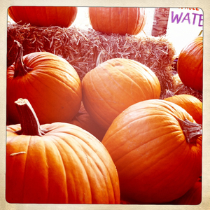 Hip 341602725.929672