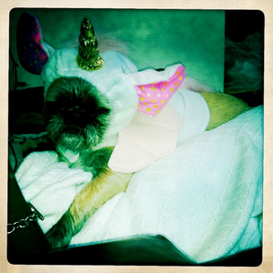 Hip 336176622.871106