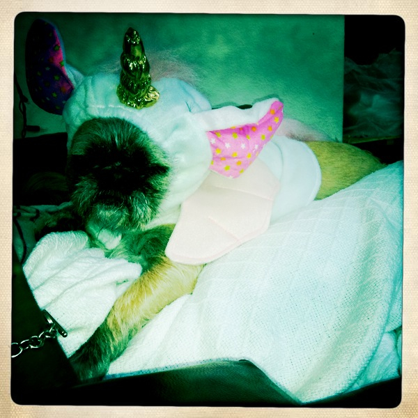 Hip 336176622.871106