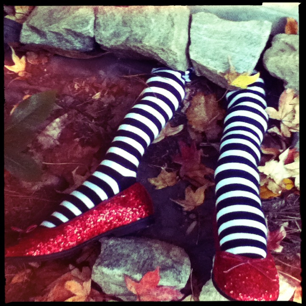 Hip 341618163.977546