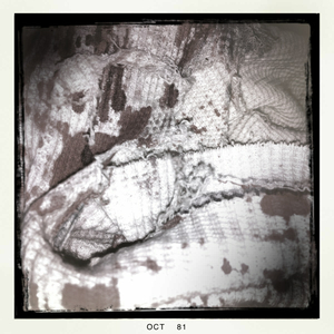 Hip 341618054.144732