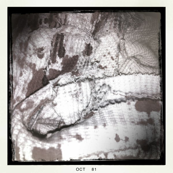 Hip 341618054.144732