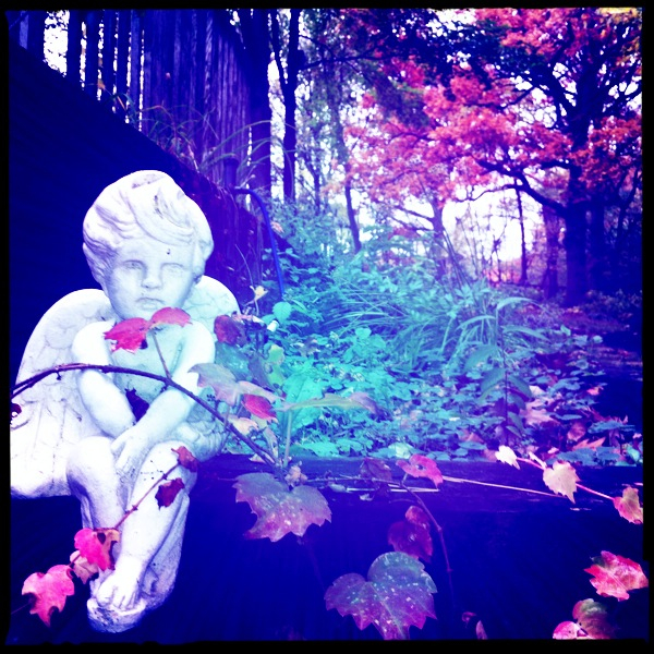 Hip 341331774.011354