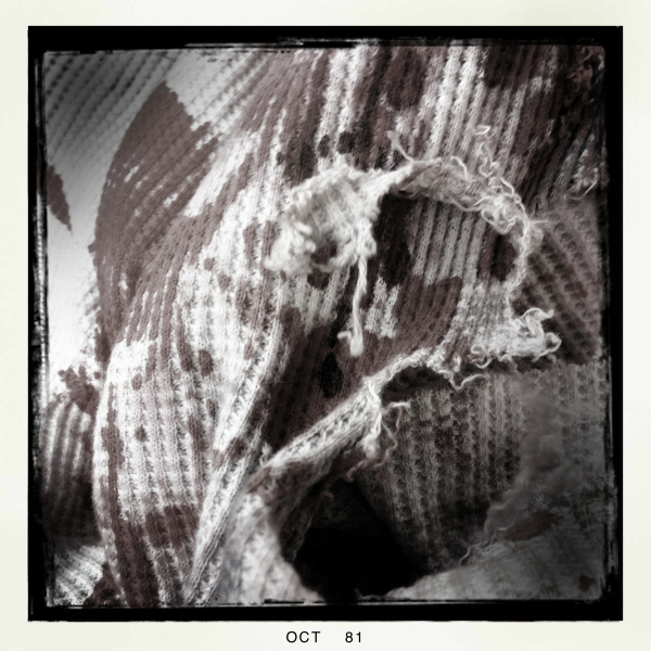 Hip 341618040.820117